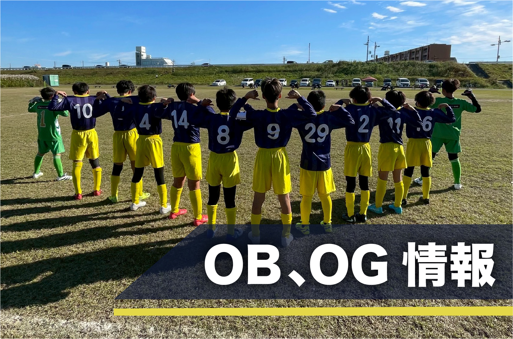 OB・OG情報